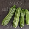 Kép 3/3 - Cukkini csíkos - Costata Romanesco 