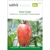 Kép 1/3 - Rózsaszín Tigris paradicsom - Solanum lycopersicum Pink Tiger