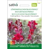 Kép 1/5 - Tátika  - Antirrhinum majus 'Black Prince'