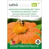 Kép 1/3 - Mexikói napraforgó  - Tithonia rotundifolia