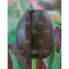 Kép 1/2 - Tulipán Cafe Noir Single Late