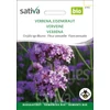 Kép 1/5 - Ernyős Verbéna  - Verbena bonariensis 