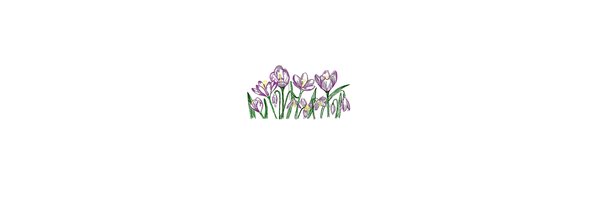 BibeBox