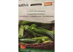 Vetőmagok - zöldségek