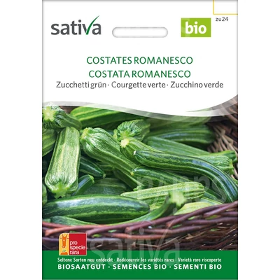 Cukkini csíkos - Costata Romanesco 