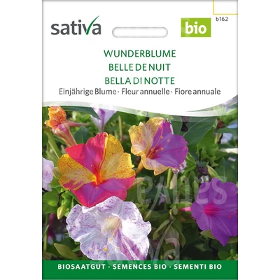 Csodatölcsér - Mirabilis jalapa 