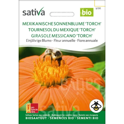 Mexikói napraforgó  - Tithonia rotundifolia