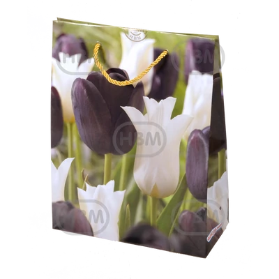 Tulipán Mix Dísz zacskóban 1
