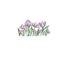BibeBox