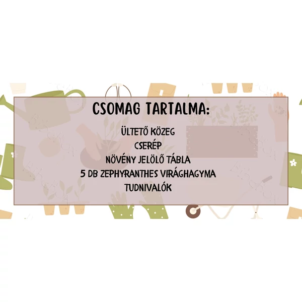 Ültesd Magad Box Zephyranthes - Sárga