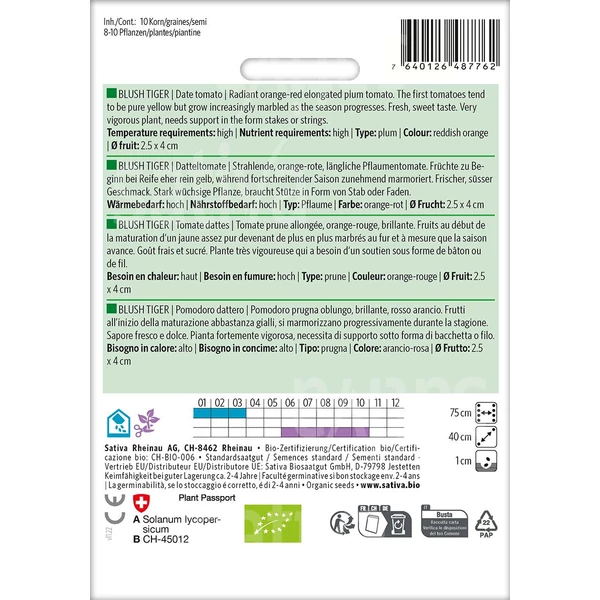 Datolyatermésű paradicsom - Solanum lycopersicum Blush Tiger 