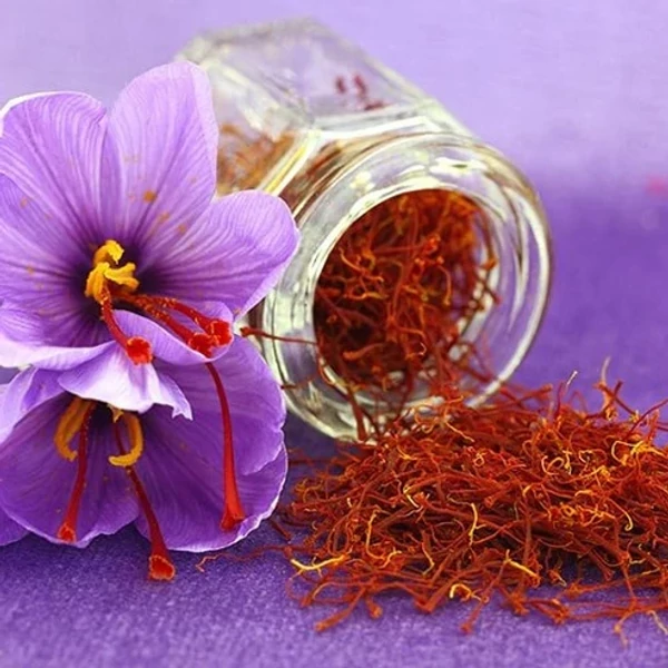 Crocus Sativus  Valódi Sáfrány