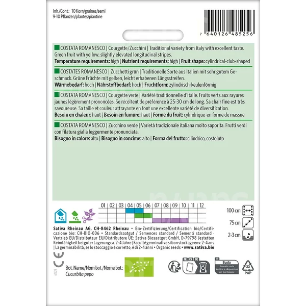 Cukkini csíkos - Costata Romanesco 