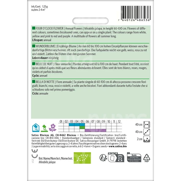 Csodatölcsér - Mirabilis jalapa 