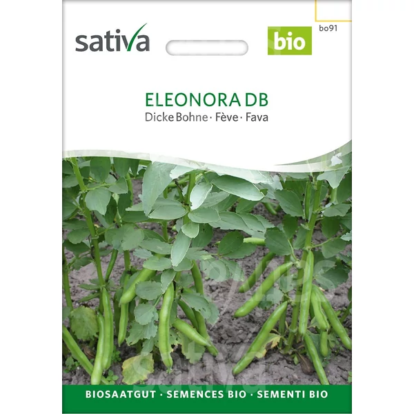 Eleonora DB Lóbab - Vicia faba major