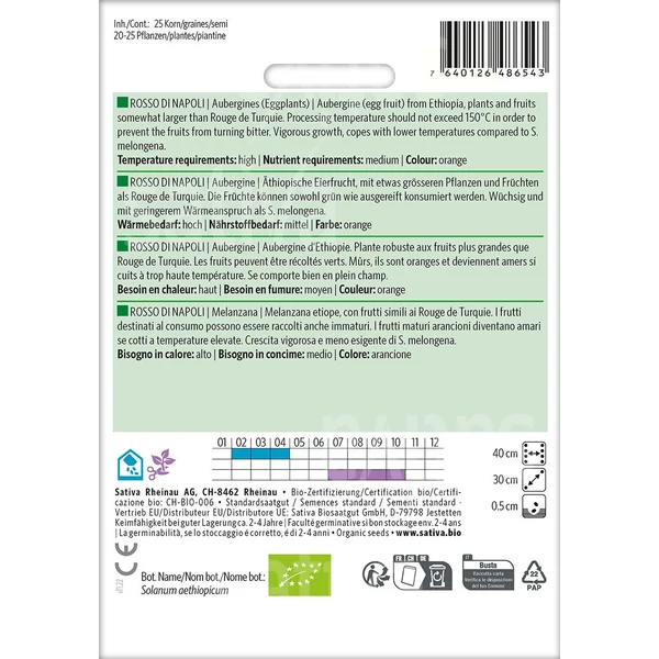 Padlizsán - Solanum aethiopicum Rosso di Napoli