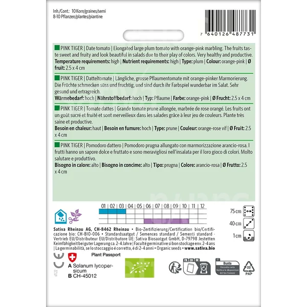 Rózsaszín Tigris paradicsom - Solanum lycopersicum Pink Tiger