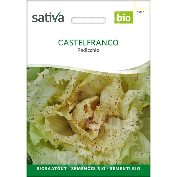 Radicchio  - Cichorium intybus Castelfranco-Radicchio