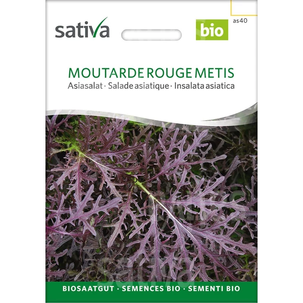 Levél mustár - Brassica juncea Moutarde rouge Metis