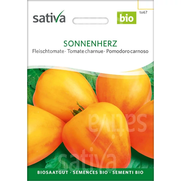  Beefsteak paradicsom sárga - Solanum lycopersicum Sonnenherz