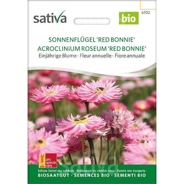  Szalmarózsa - Acroclinium roseum 'Red Bonnie' 