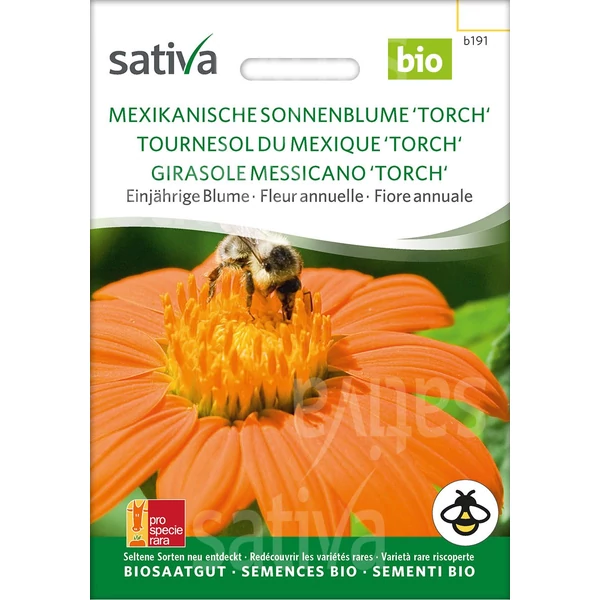 Mexikói napraforgó  - Tithonia rotundifolia