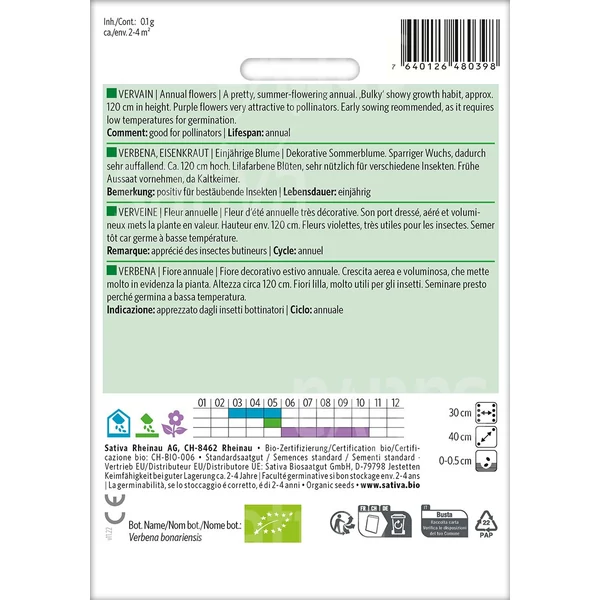 Ernyős Verbéna  - Verbena bonariensis 